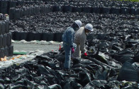 Nuclear Nation II