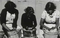 Stolen Generations